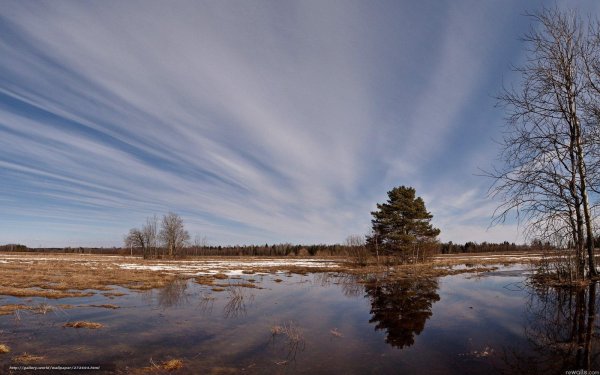 весенние пейзажи