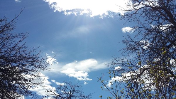 весенние облака