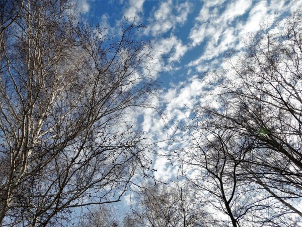 весенние облака