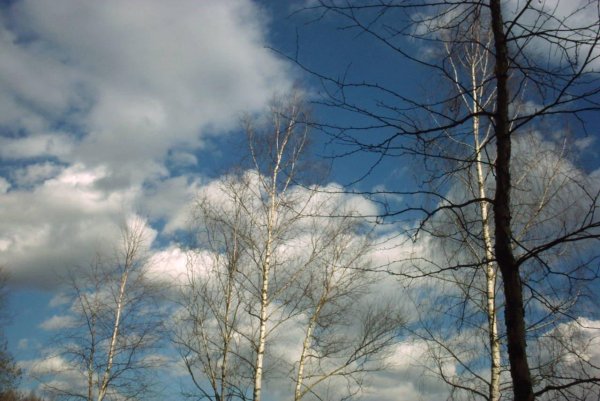 ранняя весна