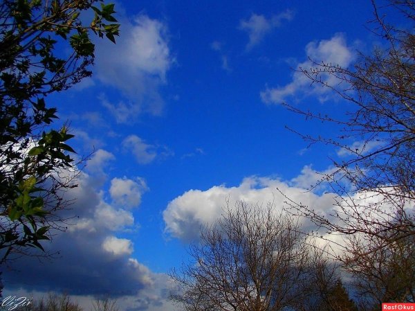 небесная лазурь