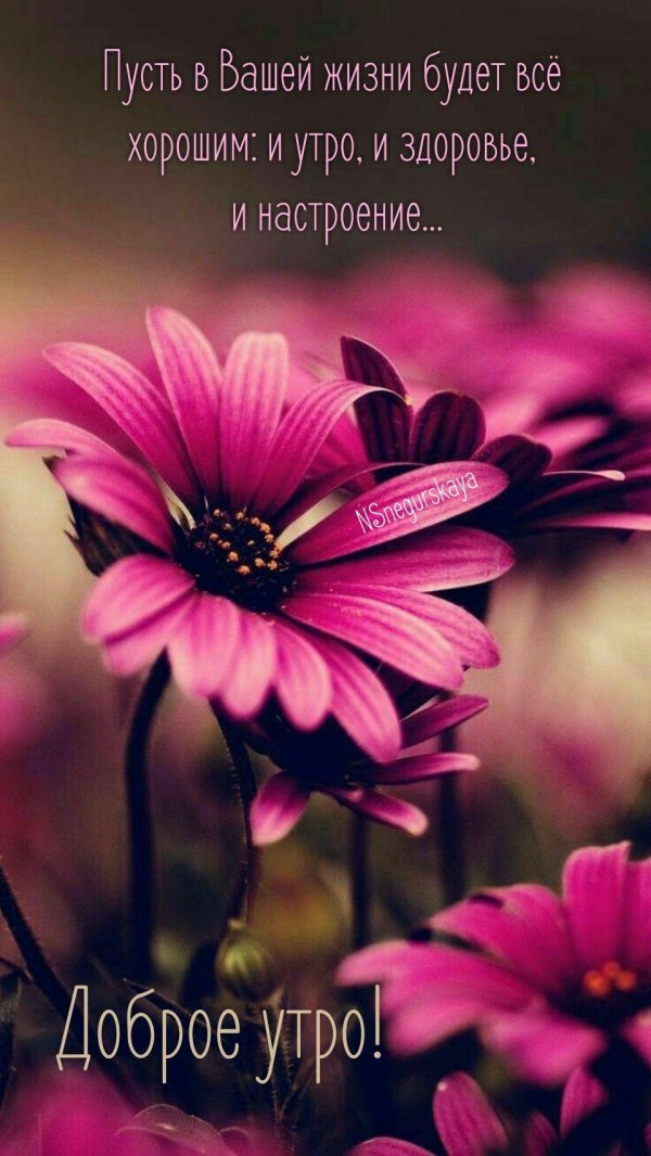 цветок красивый