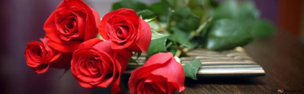 розы поздравление