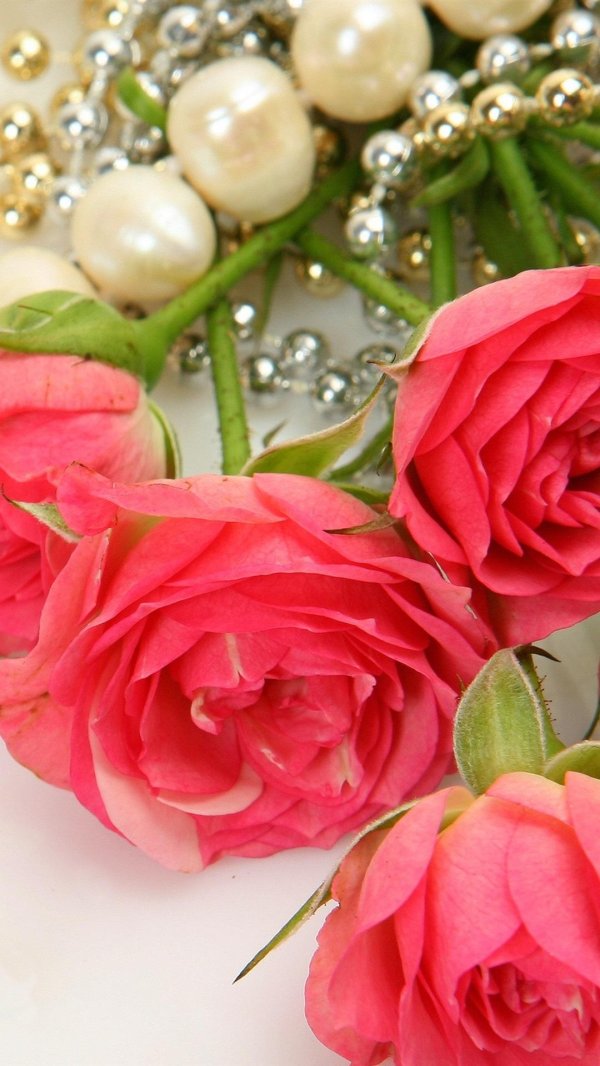 розы и жемчуг