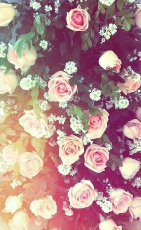 обои для ватсапа