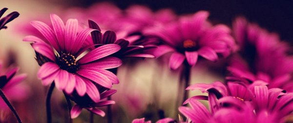 обложка для фейсбука