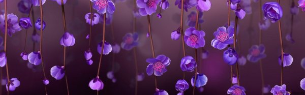 фиолетовые цветочки