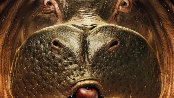 ноздри бегемота