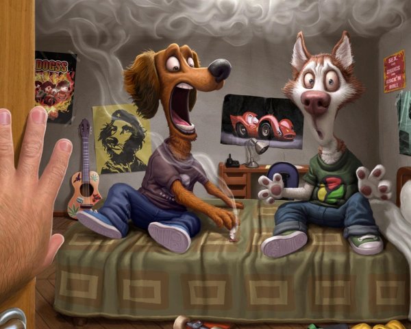 тиаго хойсела