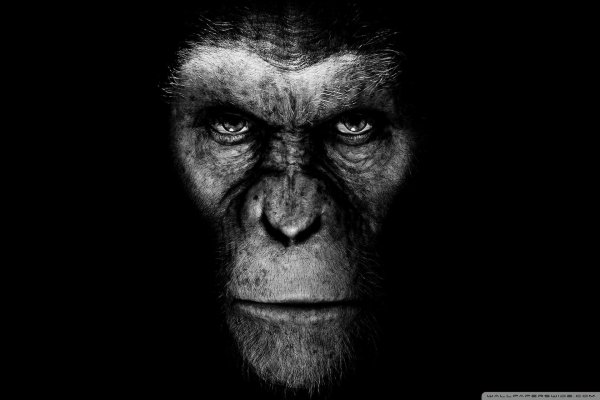 Для рабочего стола прикольные необычные