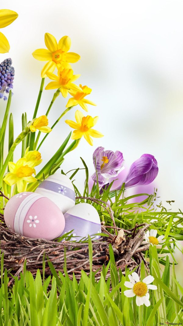 пасхальная весна