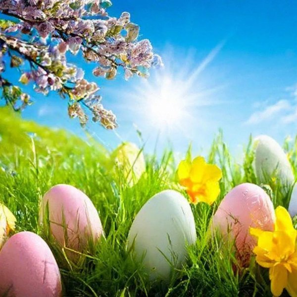с пасхой