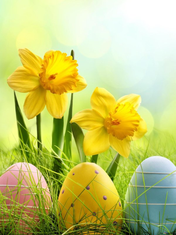 поздравление с пасхой