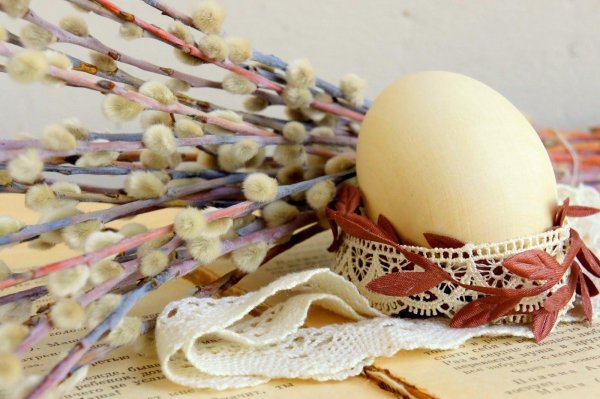 верба на вербное воскресенье