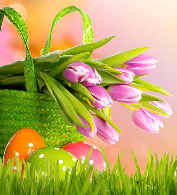 весенние фоны