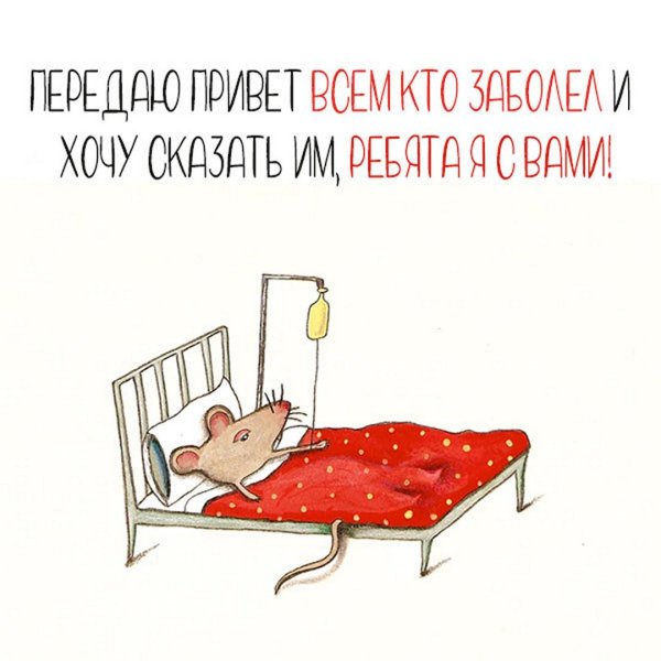 спящая мышка