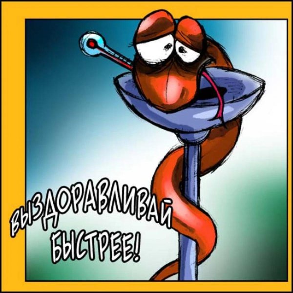 Выздоравливай девушке прикольные с юмором