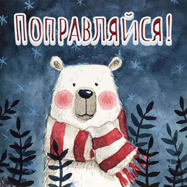 новогодние медведи