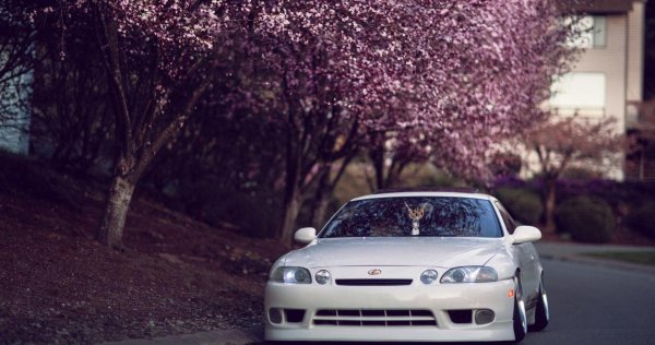 supra jdm sakura
