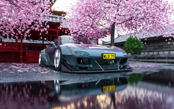 цветение сакуры япония