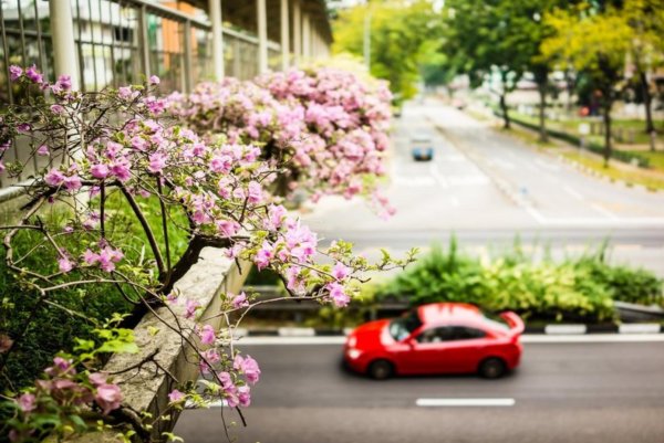 весенний город