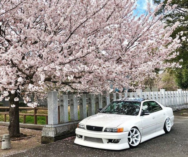 toyota chaser jzx 100