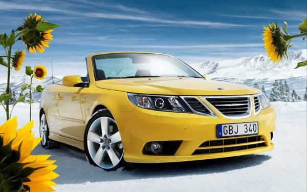 saab 93 yellow