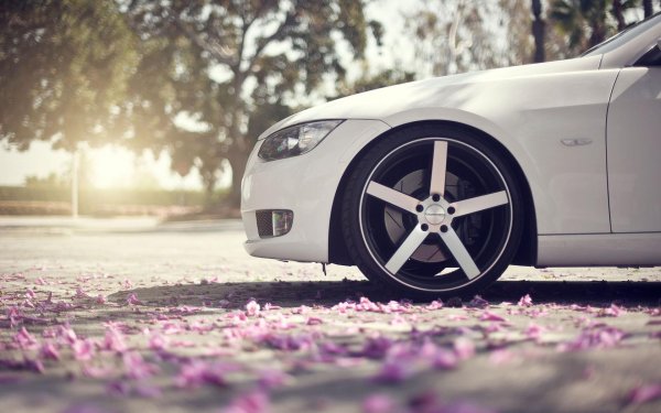 белые воссены