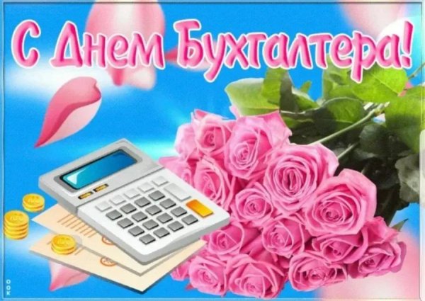 день бухгалтер