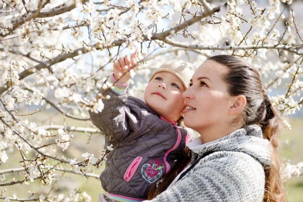 весенняя прогулка