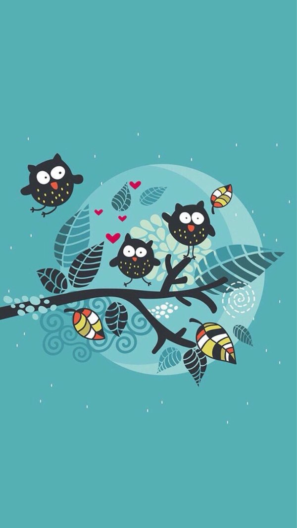 заставка сова