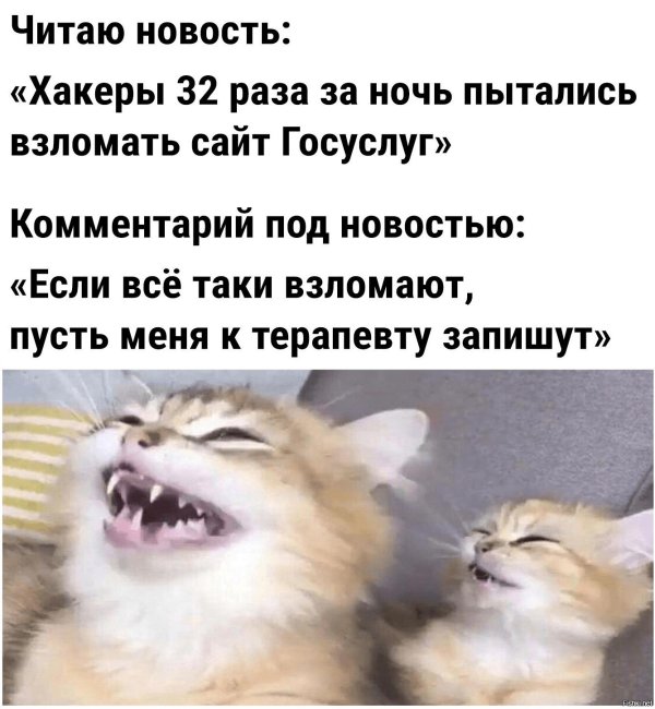 смех приколы
