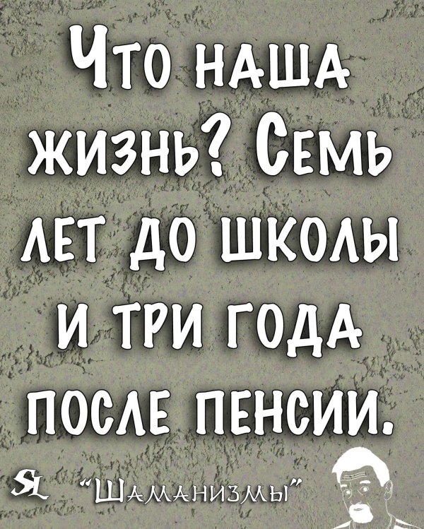 смешная цитата