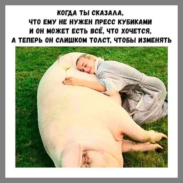 С надписями прикольные про жизнь смешные