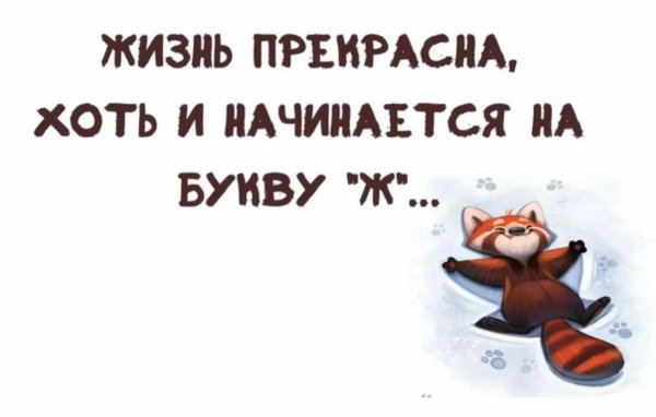 жизнь прекрасна хоть и начинается на букву ж