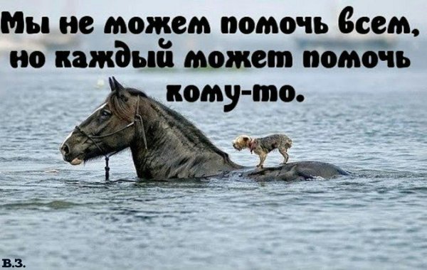 помочь может каждый