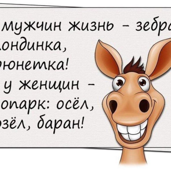 анекдот про ослика
