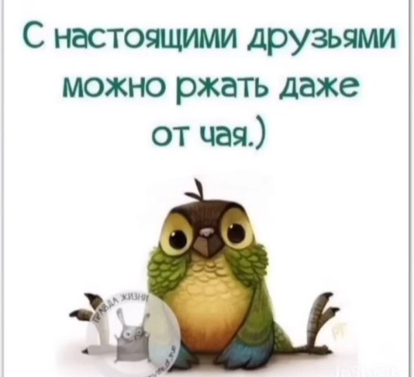 печалька пофигулька