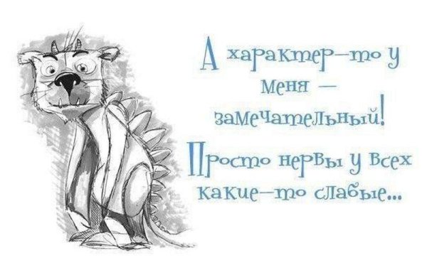 характер у меня замечательный