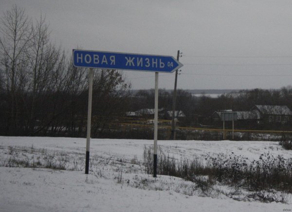нова жизнь