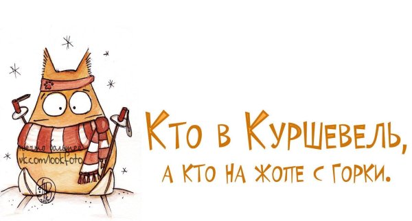 коты марии ван брюгген