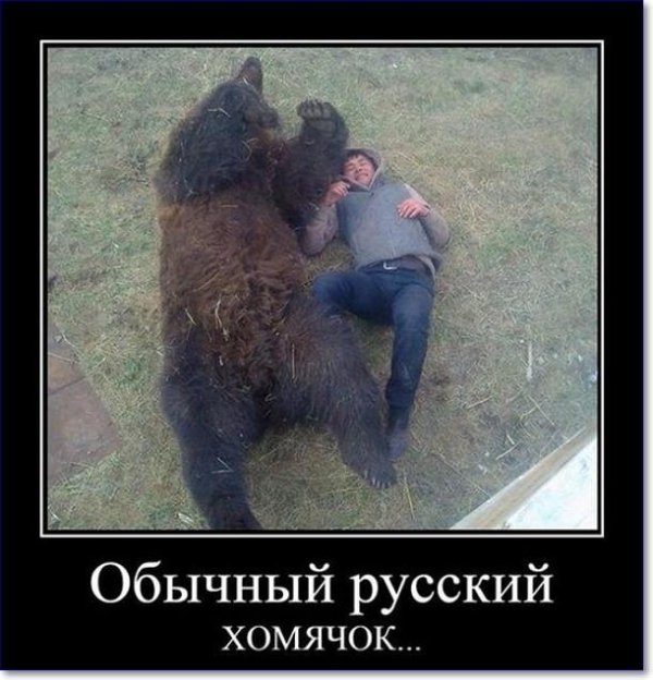 медведь загрыз