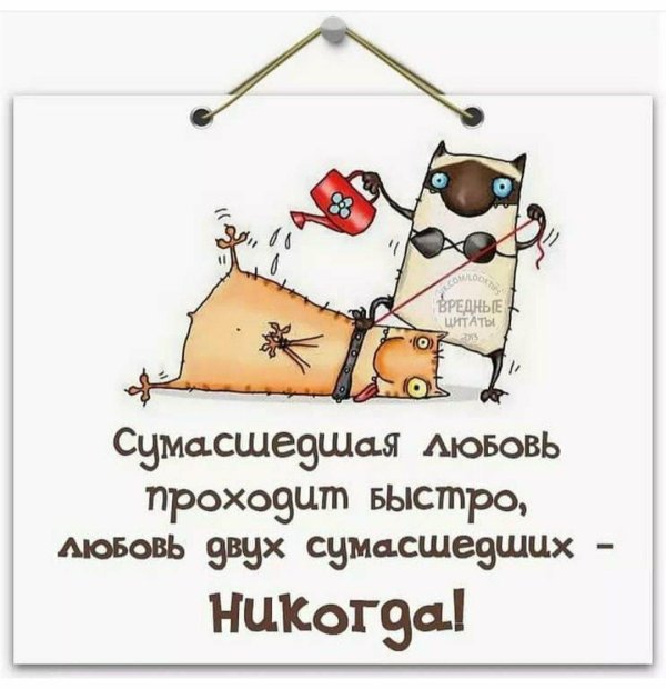 любовь двух сумасшедших