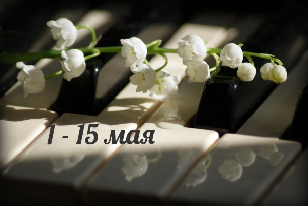 праздник 1 мая