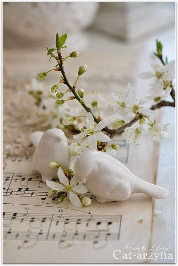 весеннее вдохновение