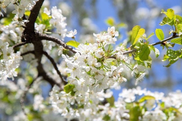 весеннего настроения