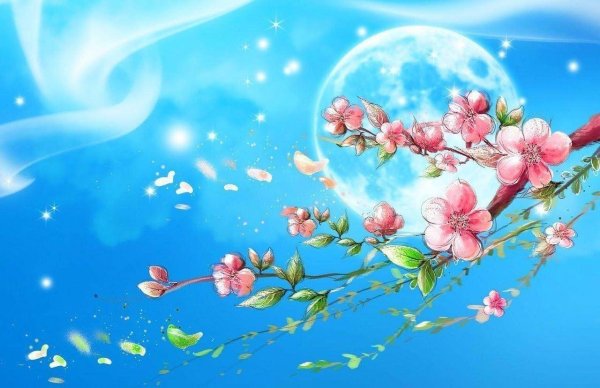 сакура ветка