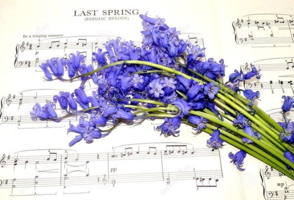 нежная мелодия