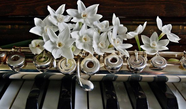 красивая флейта