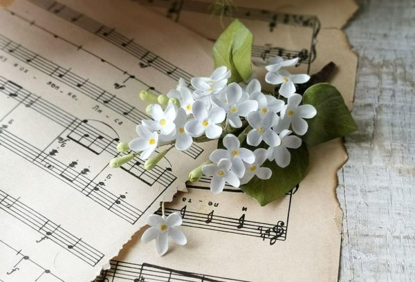 сирень из фоамирана